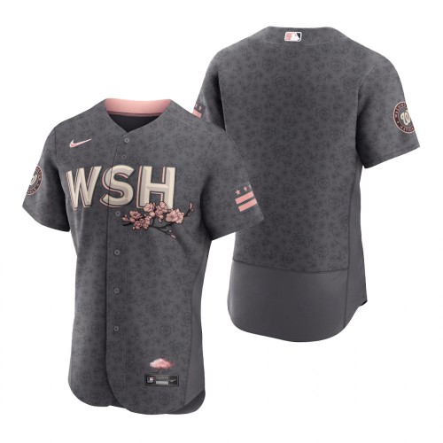 Washington Washington Nationals Blank Men’s Nike Authentic Gray 2022 City Connect Jersey Men’s