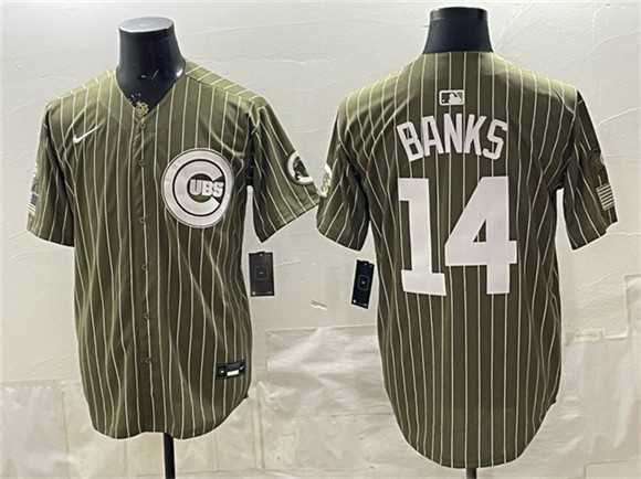 Men%27s Chicago Cubs #14 Ernie Banks Pinstripe Olive 2026 Armed Forces Day Salute To Service Stitched Jersey Dzhi