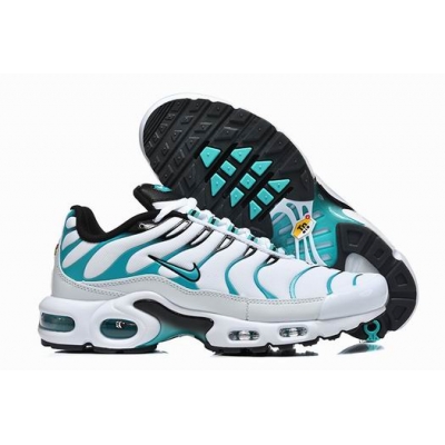 china cheap Nike Air Max Plus TN  shoes