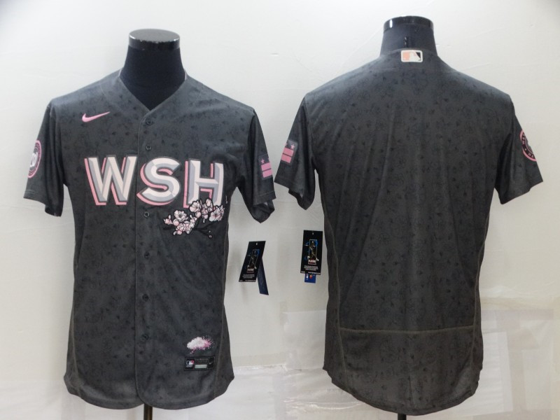 Nationals Blank Gray Nike 2022 City Connect Flexbase Jersey->washington nationals->MLB Jersey