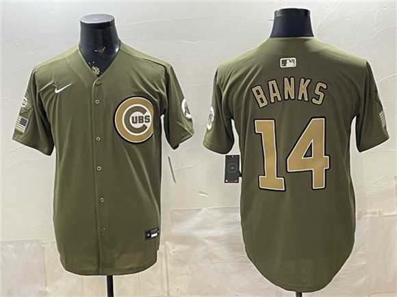 Mens Chicago Cubs #14 Ernie Banks Royal Olive 2026 Armed Forces Day Salute To Service Stitched Jersey Dzhi