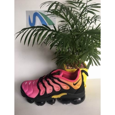 china Nike Air VaporMax Plus shoes free shipping online