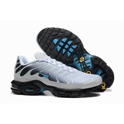 china cheap Nike Air Max TN Plus shoes free shipping